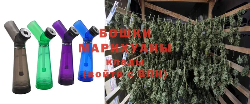 Бошки марихуана SATIVA & INDICA  Инсар 